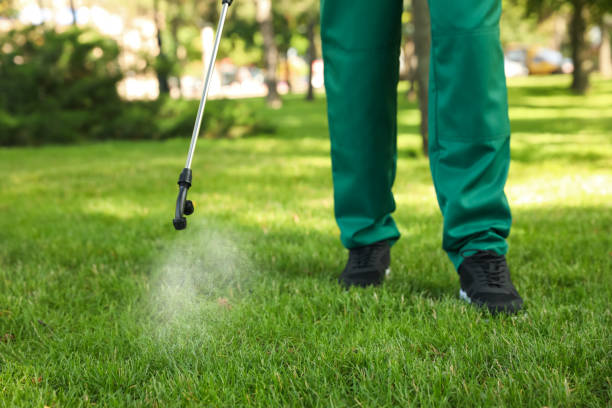 Trusted West Easton, PA Pest Control Experts