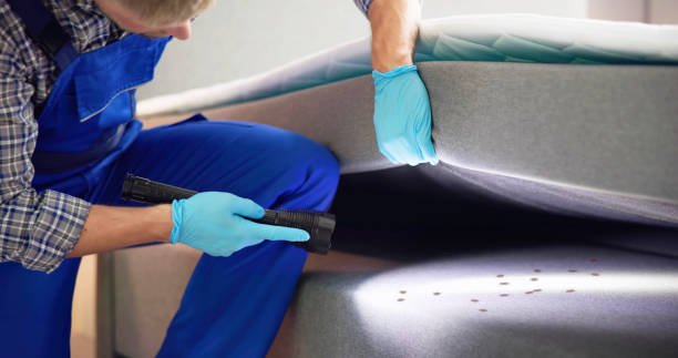 Reliable West Easton, PA Pest Control Solutions