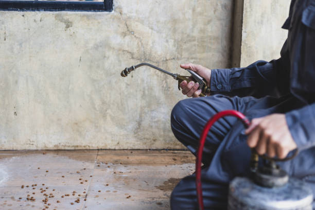 Best Residential Pest Control  in West Easton, PA